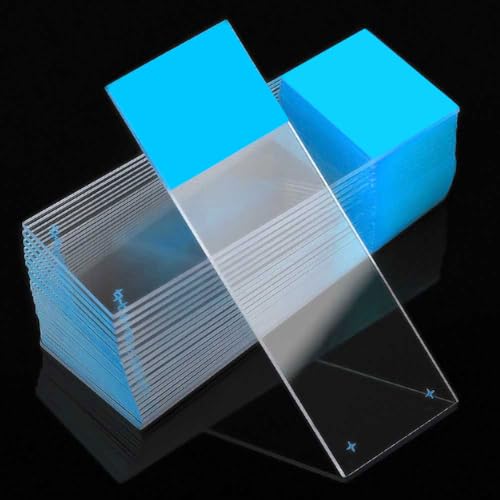 Globe Scientific Diamond 1358B White Glass Charged Microscope Slide, 25 x 75mm Size, Ground Edges, Blue Frosted (1,440 slides)