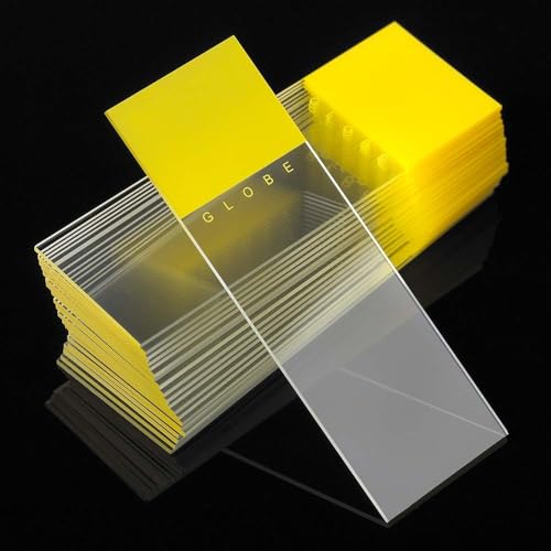 Globe Scientific Diamond 1380-50Y White Glass Microscope Slide, 25 x 75mm Size, Ground Edges, Yellow Frosted (1,440 Slides)