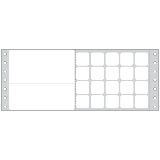 TIMEMED COMPUTER LABELING SYSTEMS FOR THE LABORATORY - DPS-SQ5