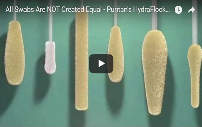 HydraFlock 6" Sterile Large Flock Swab w/Polystyrene Handle & Dry Transport Tube - 25-3206-H 20MM BT-DNA Collection, Cs