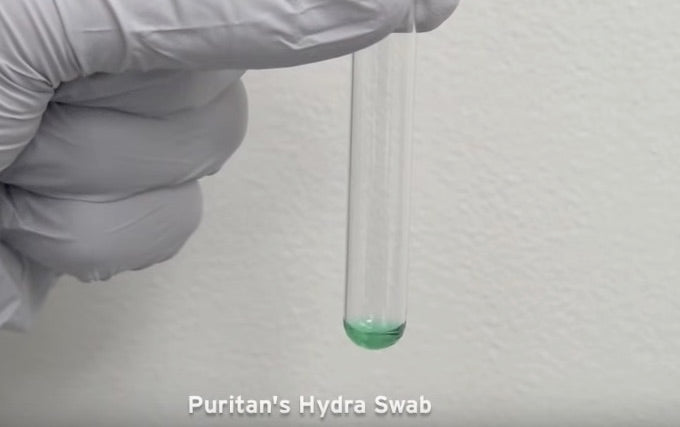 HydraFlock 6" Sterile Large Flock Swab w/Polystyrene Handle & Dry Transport Tube - 25-3206-H 20MM BT-DNA Collection, Cs