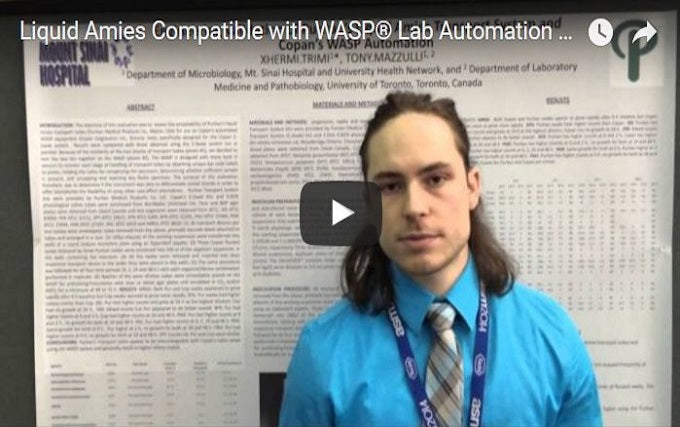 Opti-Swab Media Transport System - 6" Sterile Ultrafine Flock Swab & 1ml Amies Medium - LA-117-Aerobic Anaerobic and Fastidious Bacteria Collection Swabs |Puritan, Cs