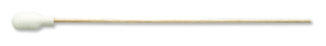 PurSwab 6" Standard Foam over Cotton Swab w/Wooden Handle - 1806-WCF-PurSwab Biotechnology Swabs| Puritan, Cs