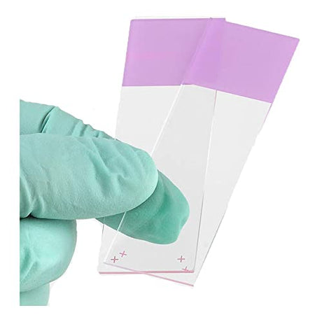 Globe Scientific Diamond 1358L White Glass Charged Microscope Slide, 25 x 75mm Size, Ground Edges, Lilac Frosted (1,440 slides)