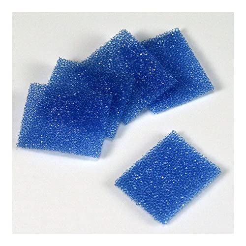 Globe-190195 Scientific Biopsy Pad for Cassettes, Foam, Blue, 30.2mm x 25.4mm x 2mm, 1000/Pack - GLO