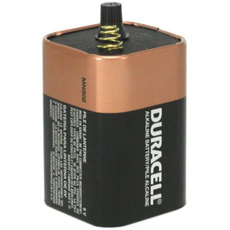 DURACELL® ALKALINE BATTERY - MN908