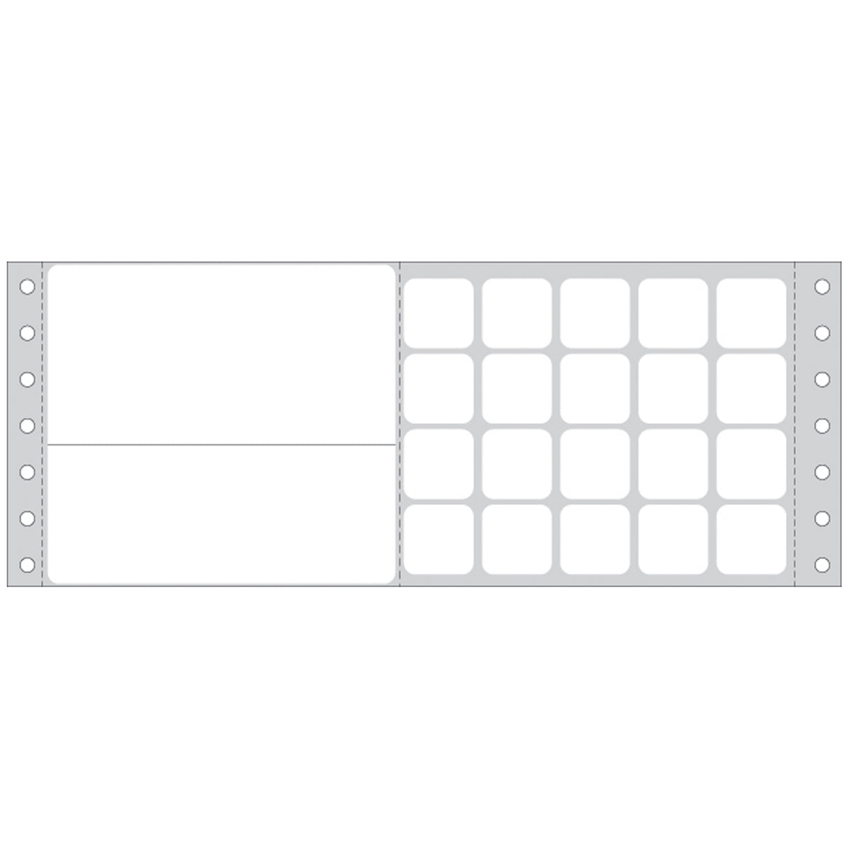 TIMEMED COMPUTER LABELING SYSTEMS FOR THE LABORATORY - DPS-SQ5