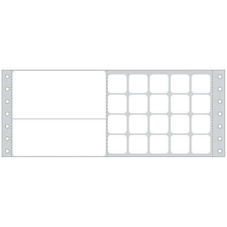 TIMEMED COMPUTER LABELING SYSTEMS FOR THE LABORATORY - DPS-SQ5