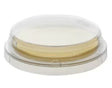 BD BBL™ BD TRYPTICASE™ SOY AGAR LECITHIN & POLYSORBATE 80, RODAC™ SNAP LID PLATE, STERILE-215276, Pack