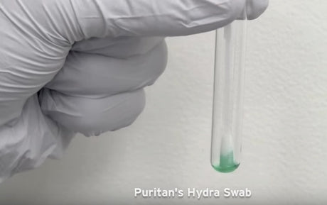 HydraFlock 6" Sterile Large Flock Swab w/Polystyrene Handle, 80mm Breakpoint- 25-3406-H-Swab for DNA Collection, Cs